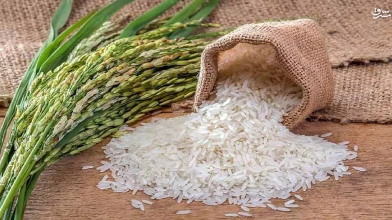 Ahmadnia Rice Production Group