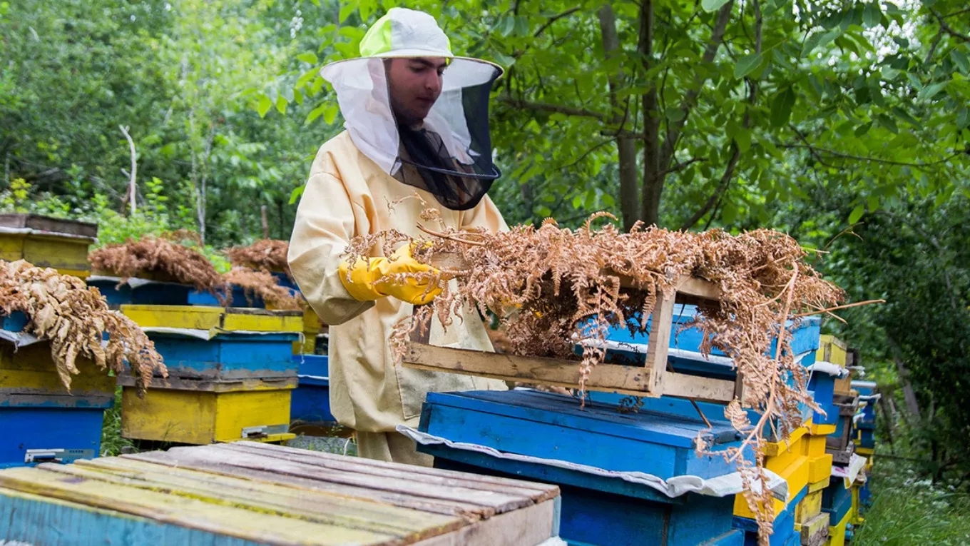 Royal mother's beekeeping equipment in Kurdistan