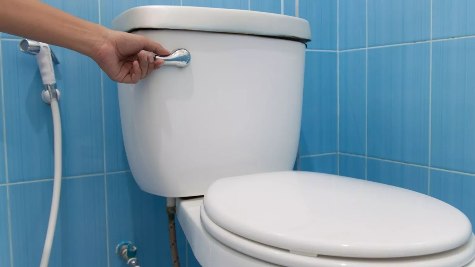 6 tricks to eliminate the bad smell of the bathroom