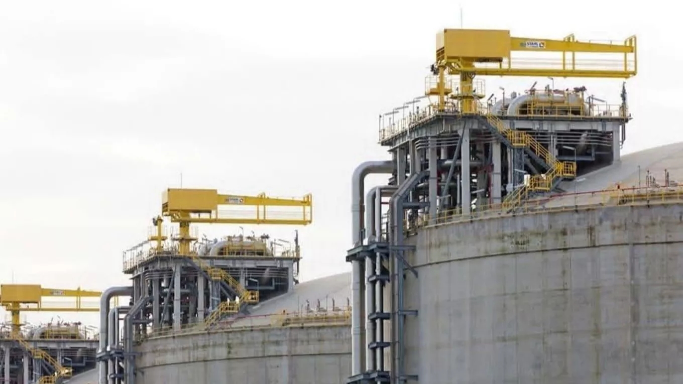 Types of cranes