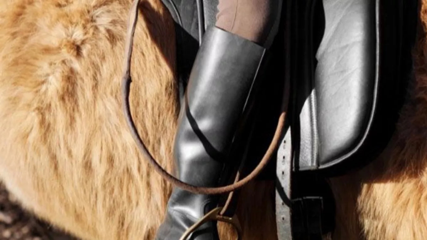 Horse riding and everything you need to know about it