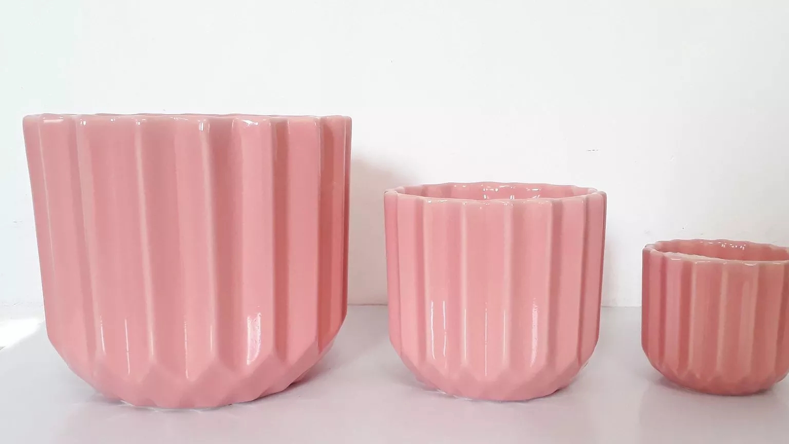 Important tips for changing the plant pot
