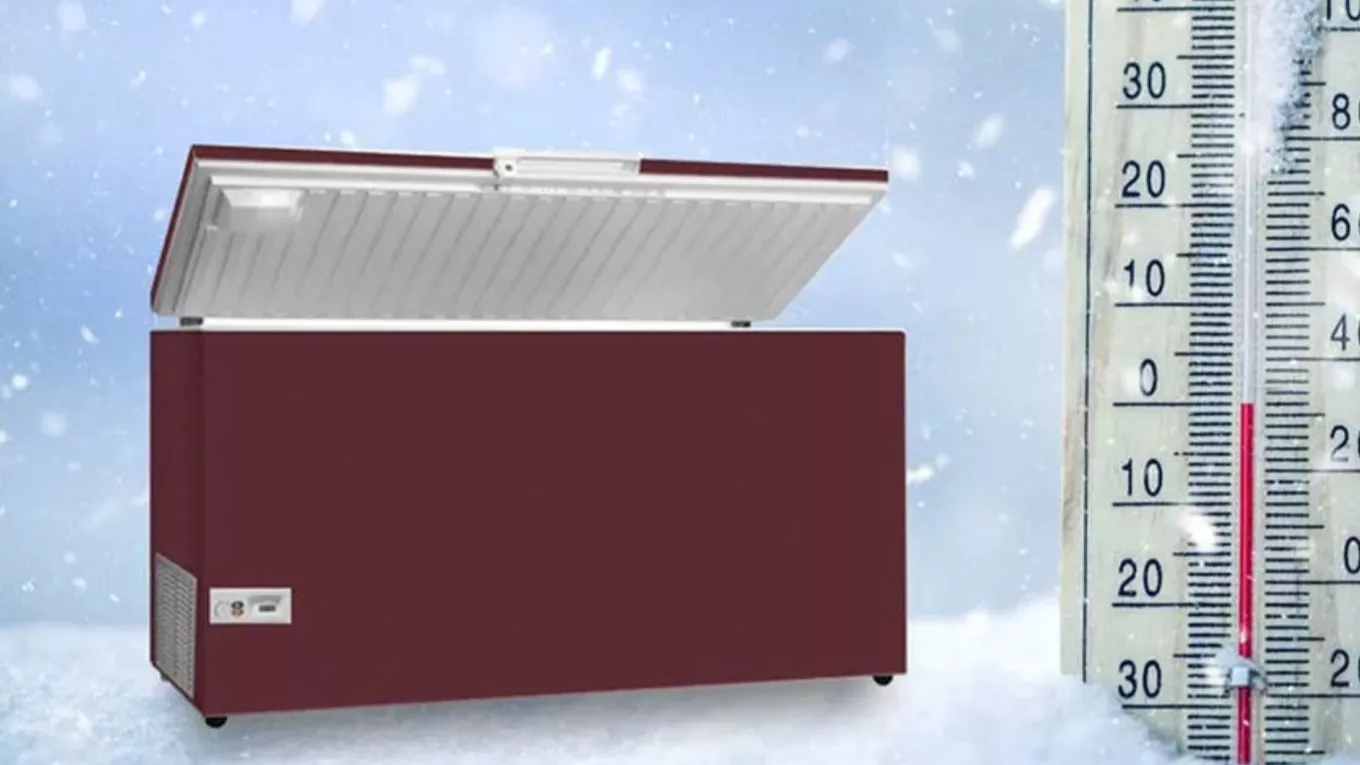 All about chest freezer