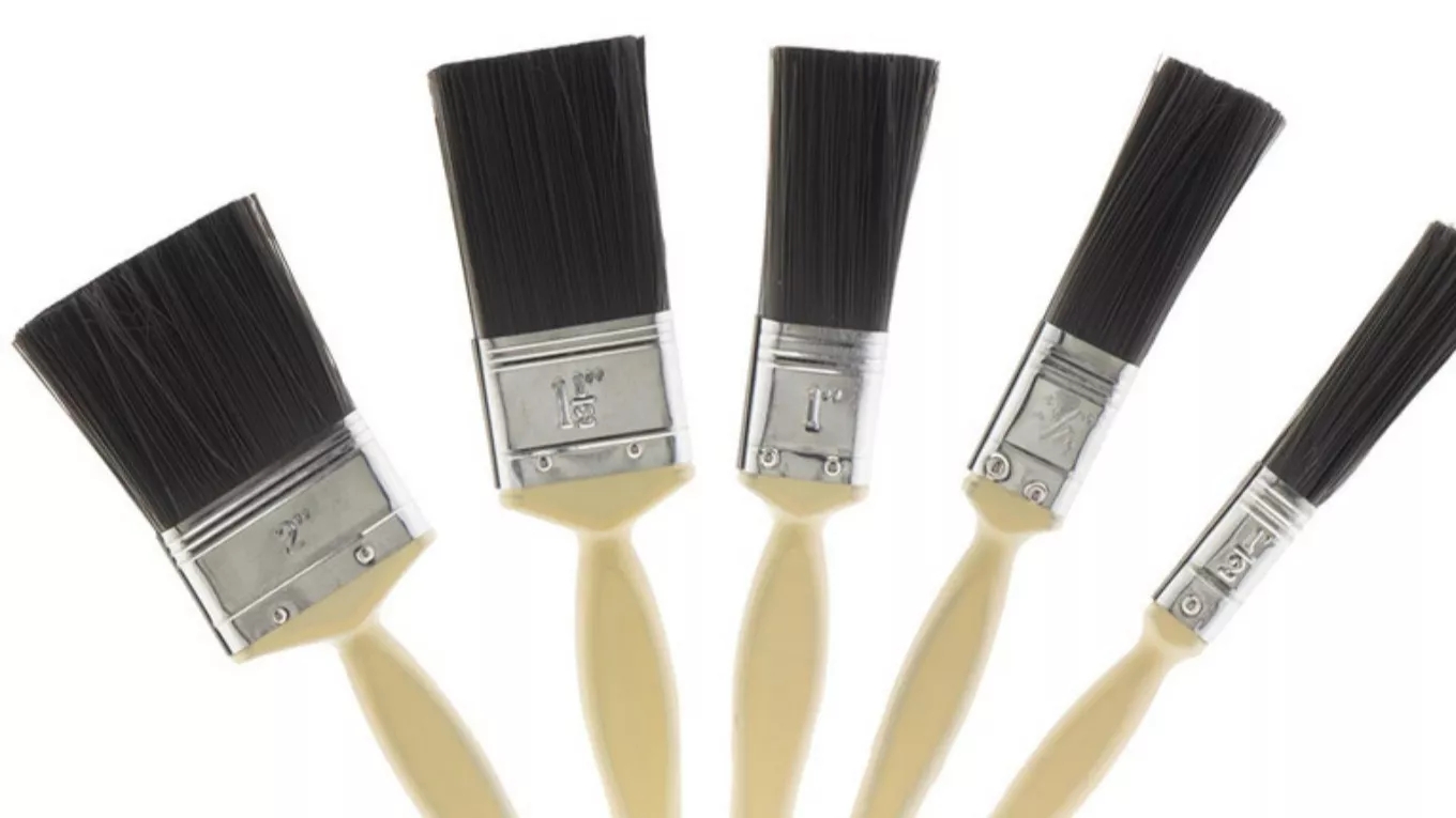 Knowing the types of brushes in terms of gender