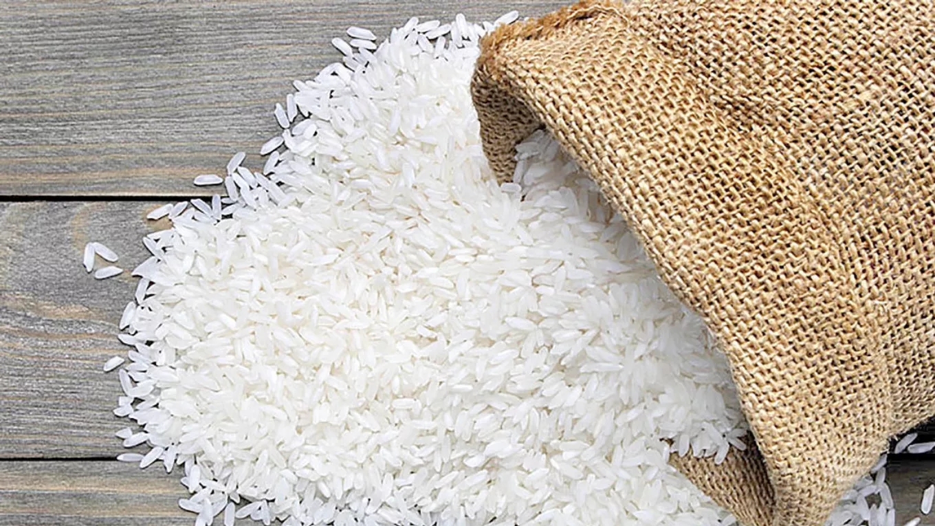 خطوات زراعة الأرز