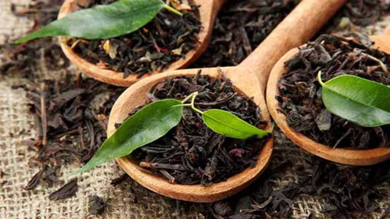 The benefits of tea