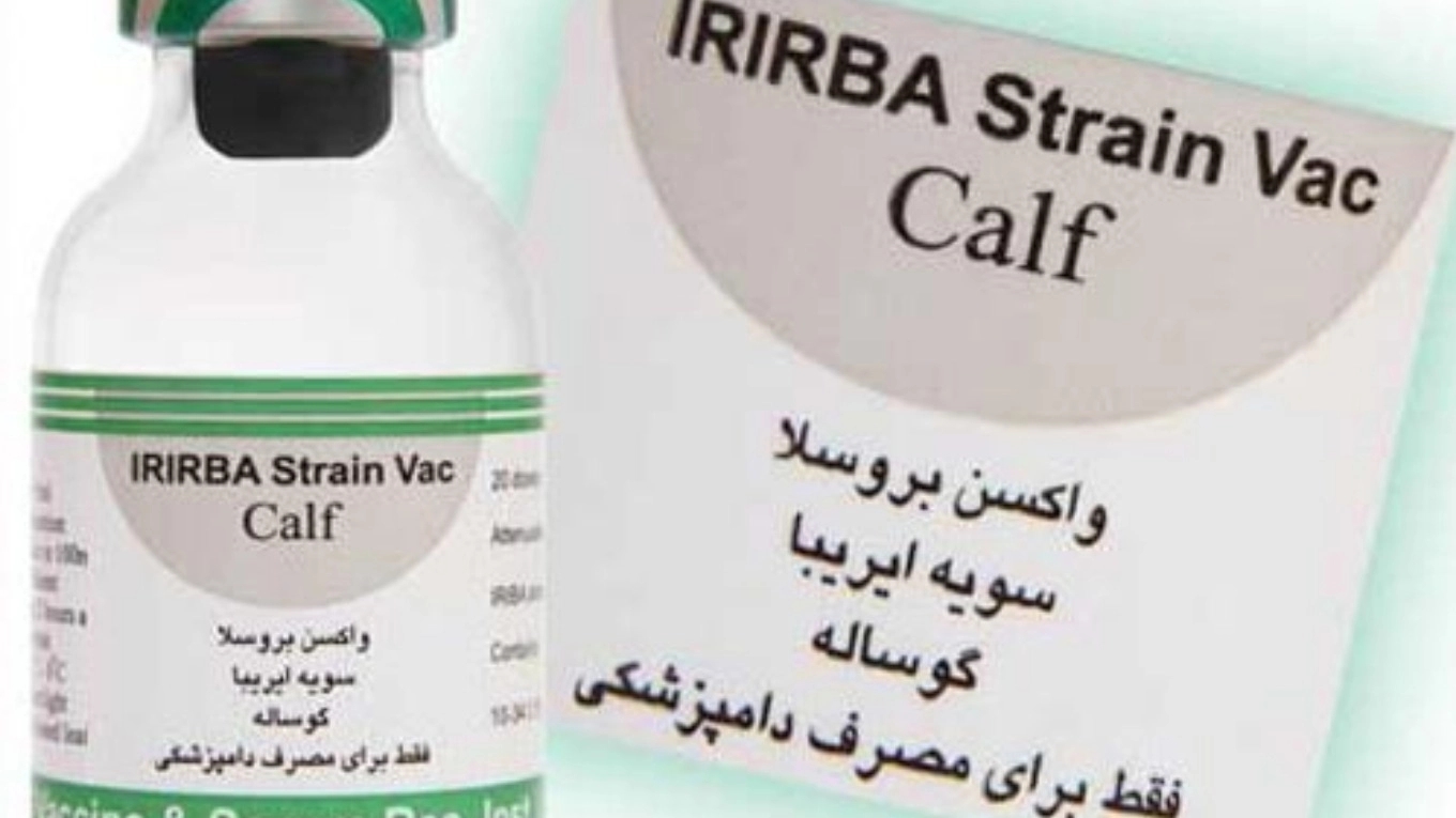 Familiarity with animal vaccines (bovine brucellosis vaccine (19S))