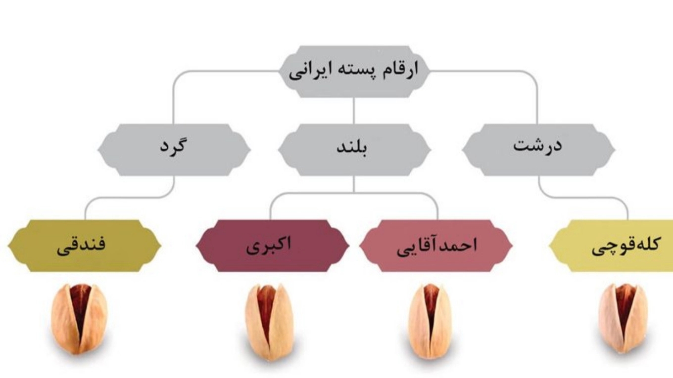 انواع پسته ایران و فرآورده های آن