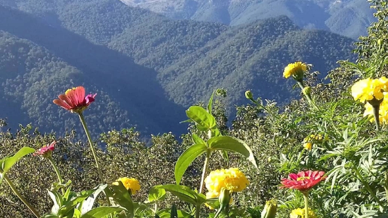 The difference between ecotourism and villas and apartments
