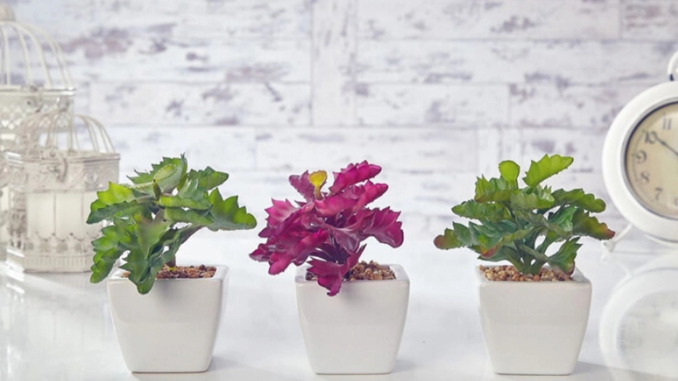 Advantages of home decoration with artificial flowers