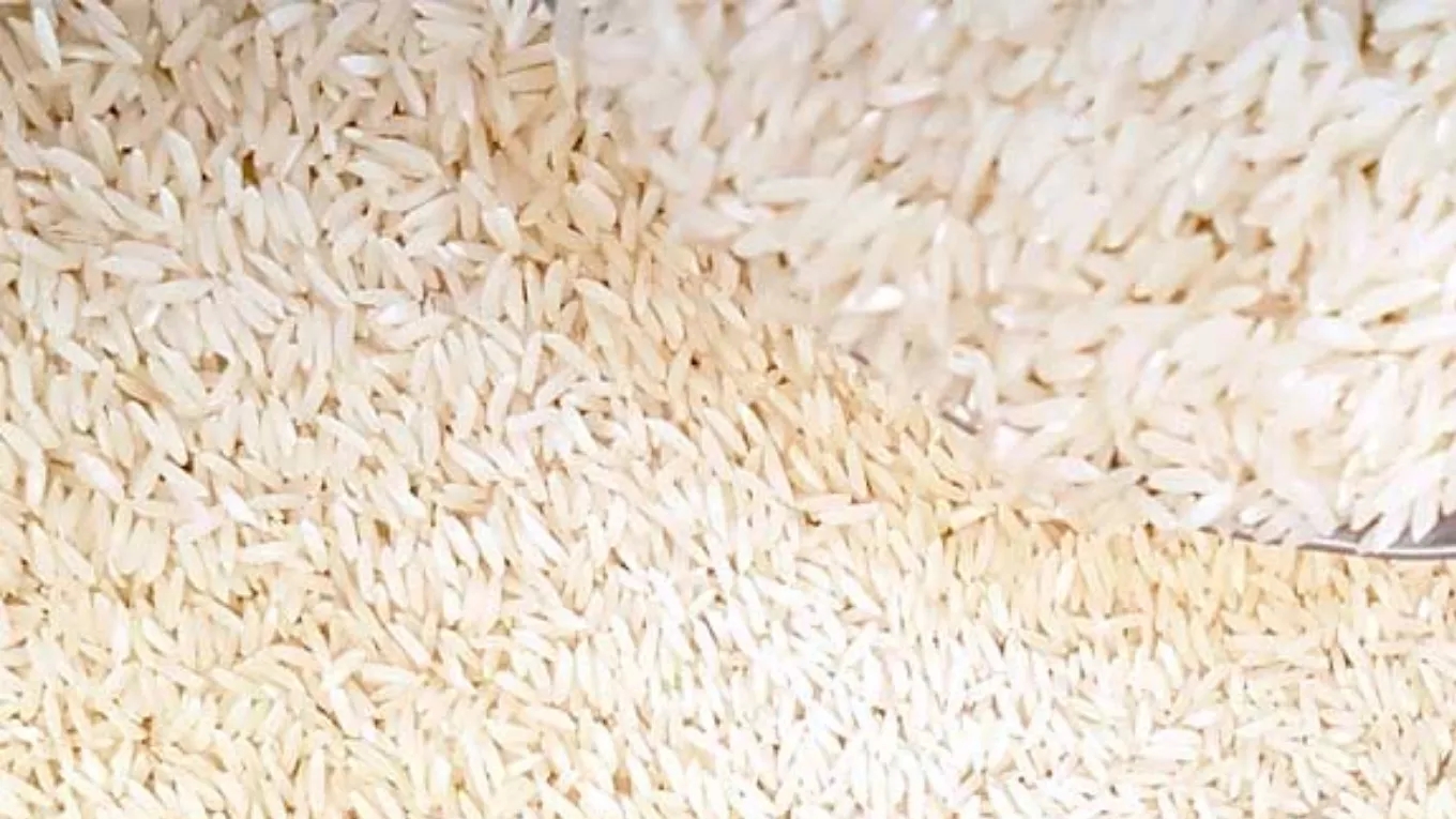 آشنایی با انواع برنج ایرانی