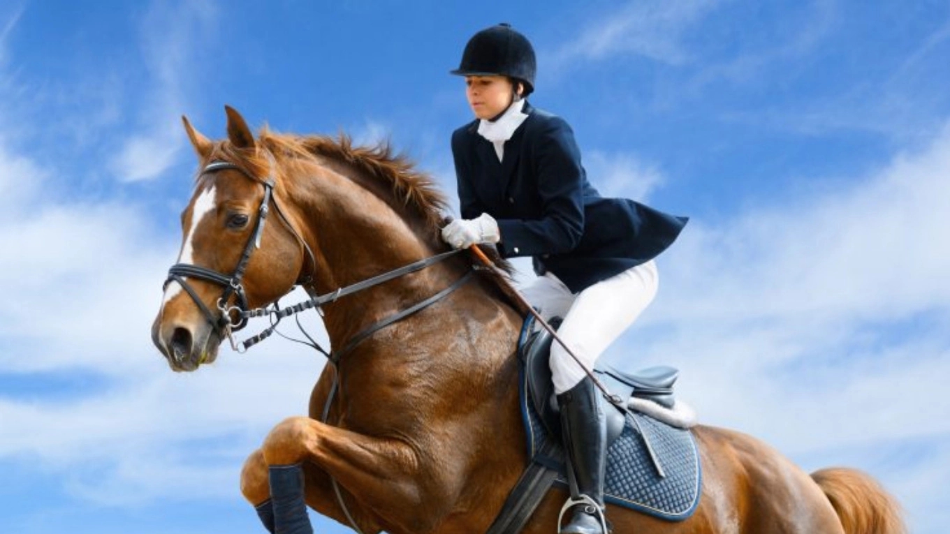 10 أسئلة شائعة حول ركوب الخيل