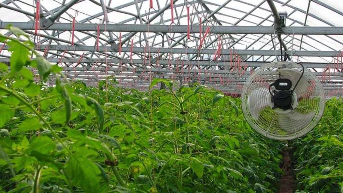 What are the advantages of using artificial ventilation devices in greenhouses?