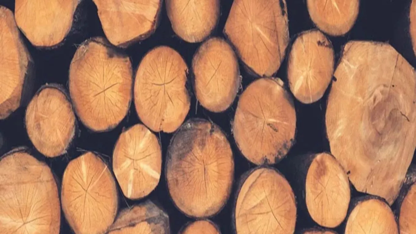 What is a lathe?