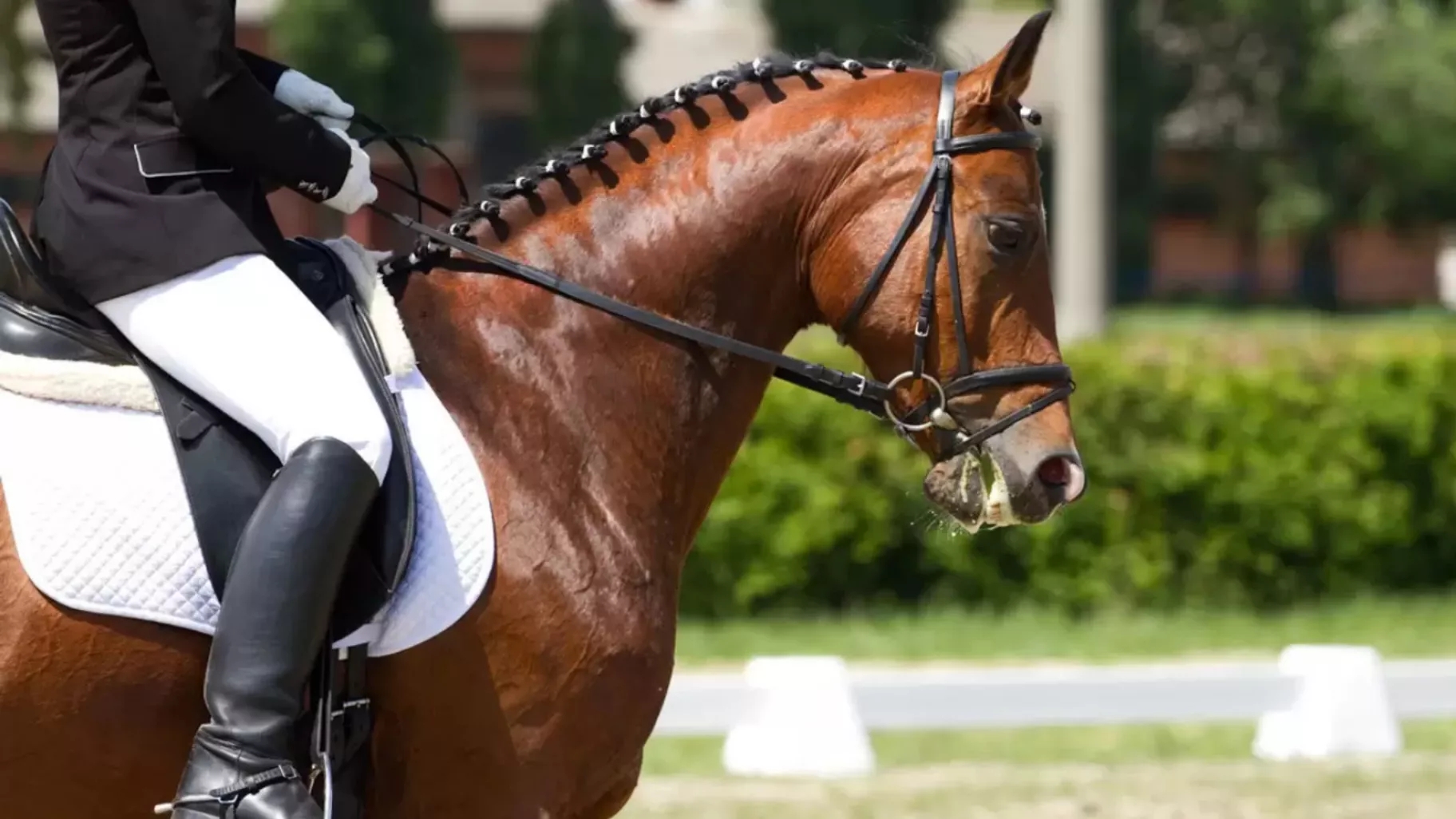 Riding equipment for beginners