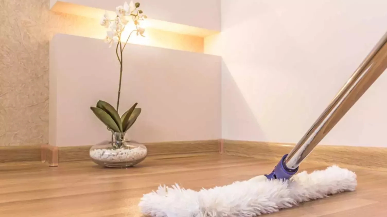 How to clean and maintain all types of wall coverings