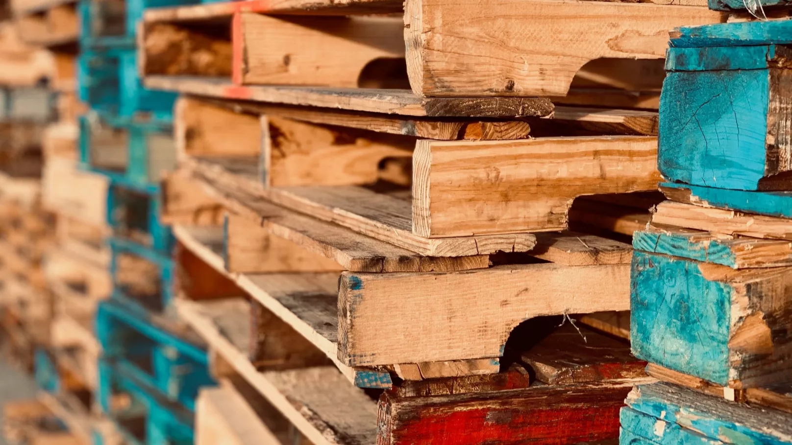 Types of wood in the pallet industry