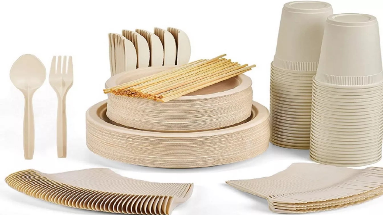 What is a disposable container? Its history, uses and advantages and disadvantages
