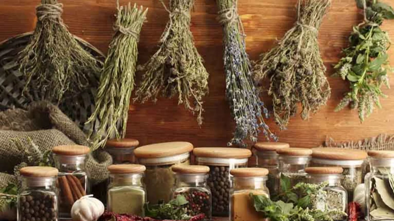Types of dried vegetables and their introduction