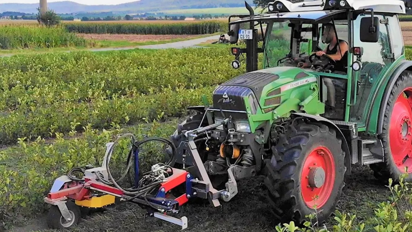 What is a weeder?
