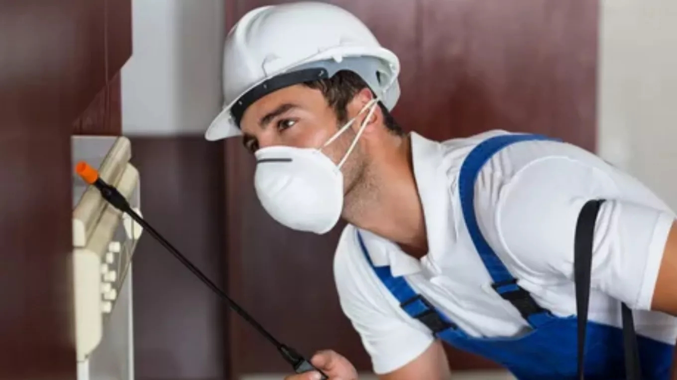 Necessary recommendations for actions after spraying and during it