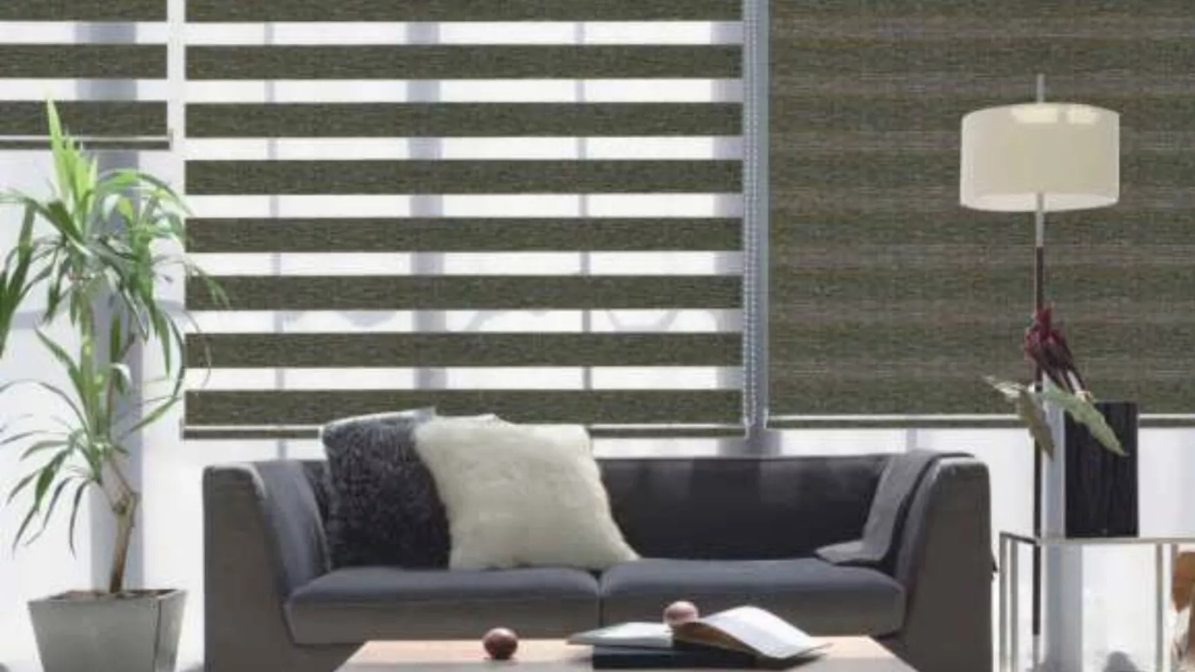What is a zebra curtain and why should we choose it?