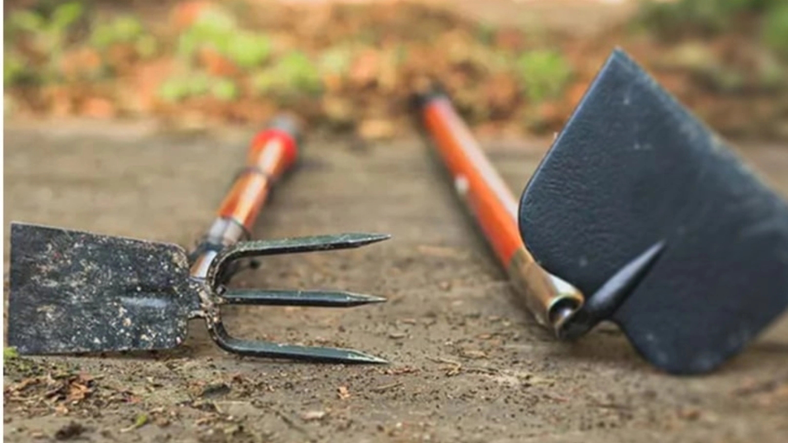 What is a calabash? + Review of 6 types of shovels