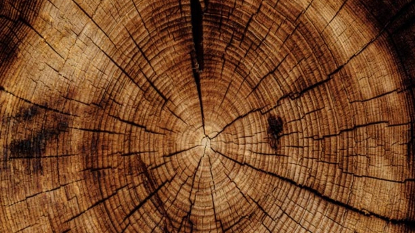 Wood industries and uses of wood