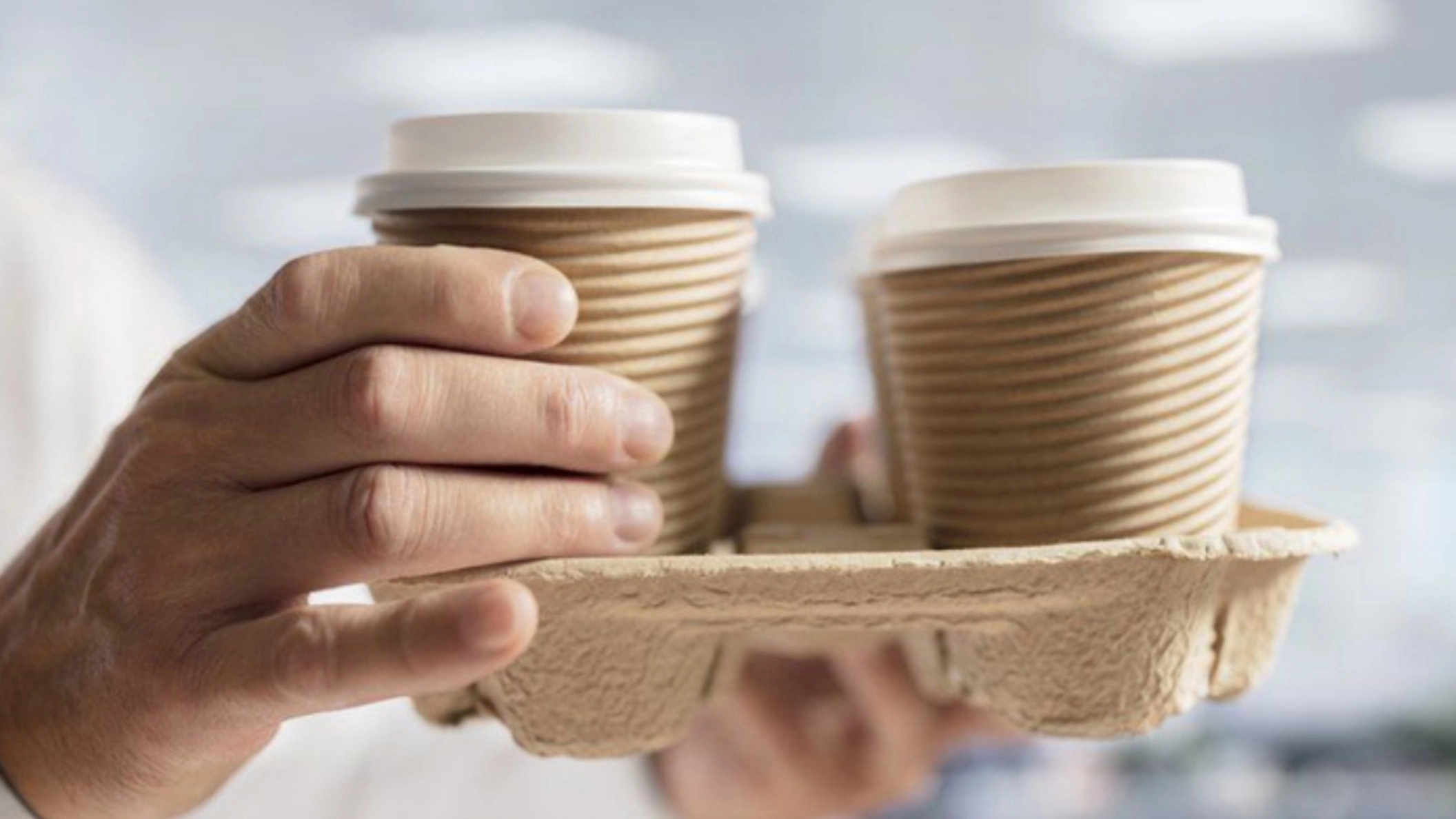 What are the raw materials of disposable containers?