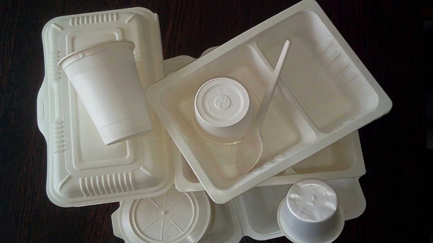 Familiarity with disposable vegetable containers and the benefits of using them
