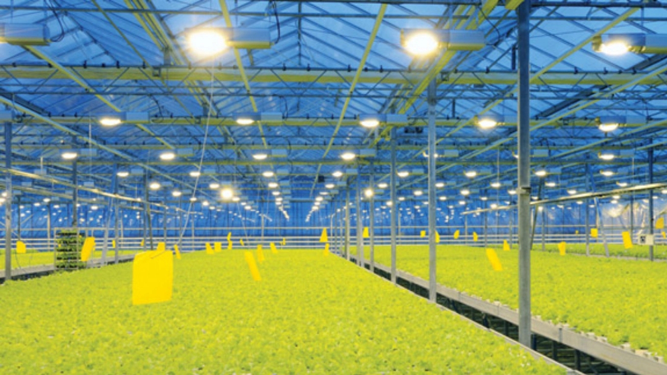 Types of greenhouse electrical system and its benefits