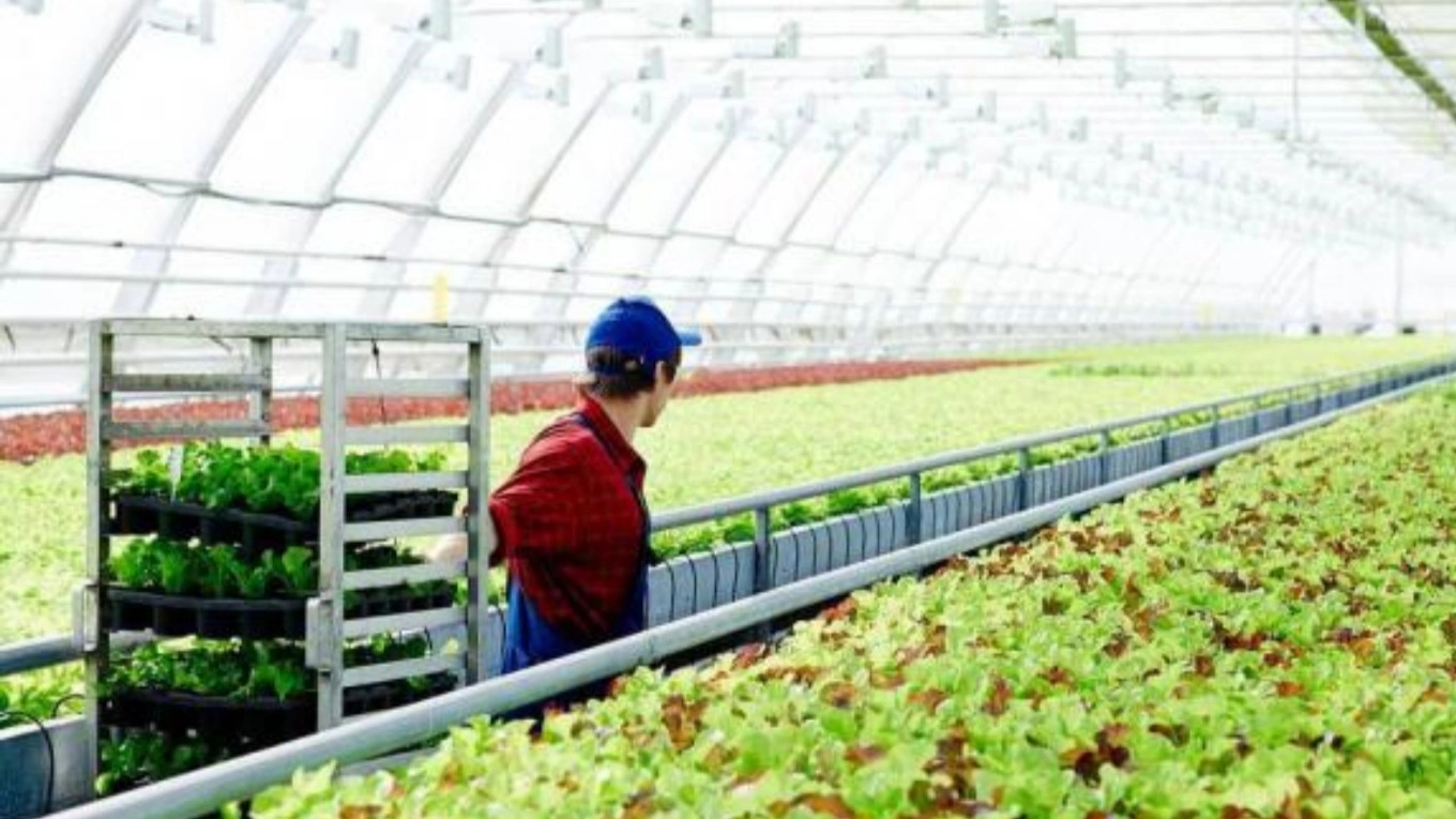How will the smart greenhouse transform the future of agriculture?