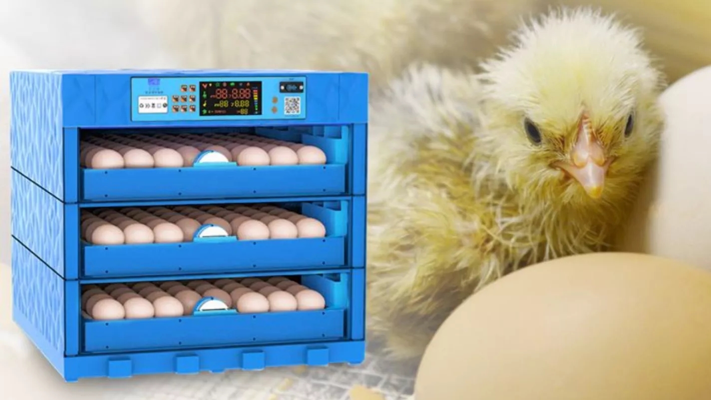 Incubation principles