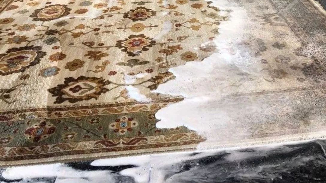 Carpet washing steps in a carpet cleaner