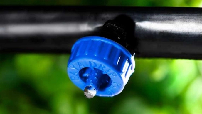 What is drip irrigation? Equipment needed and everything you need to know.