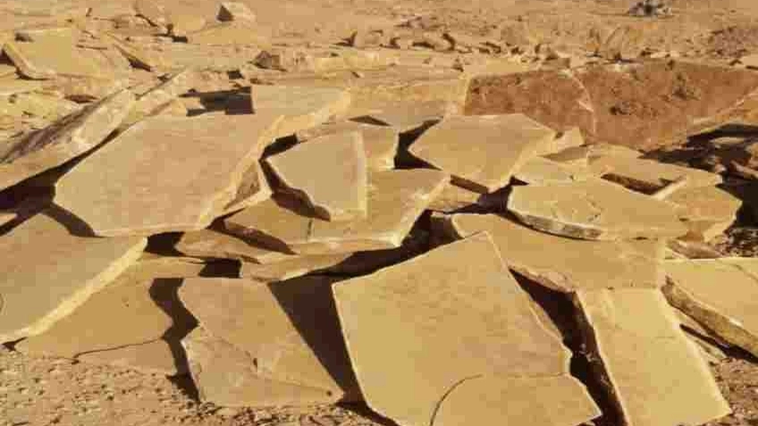 What is a camel carcass and what is its use?