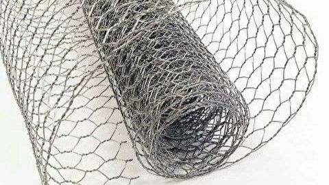 Chicken wire
