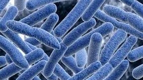Botulism disease