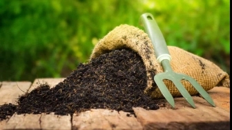 Properties of vermicompost fertilizer