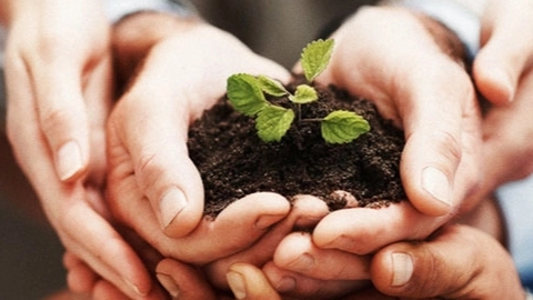 The benefits of first grade vermicompost fertilizer for agriculture