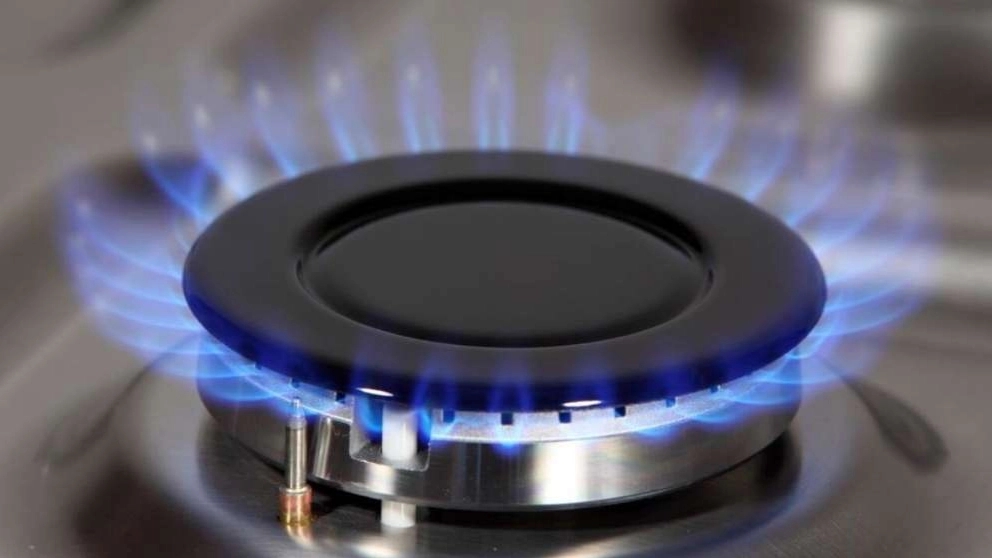 Types of gas stoves in terms of fuel