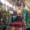 Sarab Babahaider ecotourism residence in Sarsan Chaharmahal and Bakhtiari