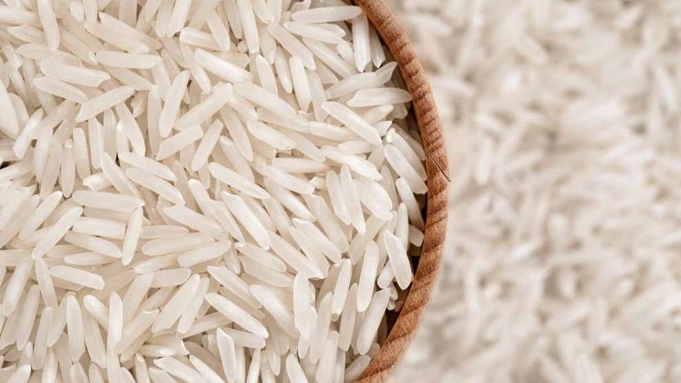 Let's get to know the Hashemi rice of Gilan