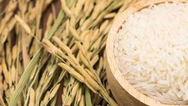 برنج  و چای فروشی غلامی در رشت
