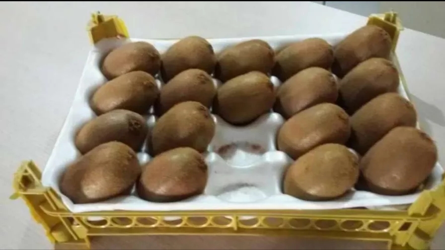 Application and benefits of using fruit comb