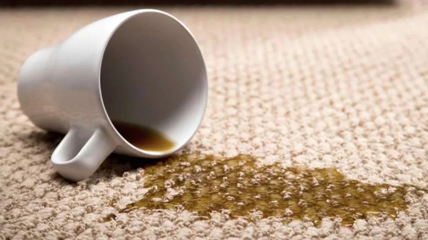 Types of stains and carpet staining methods