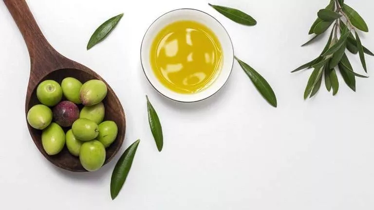 What are the characteristics of olive hand and nail moisturizing cream?