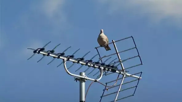 Installing a TV antenna on the roof