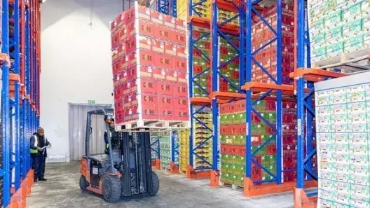 برای صادرات میوه به چه مواردی باید دقت کنیم؟
