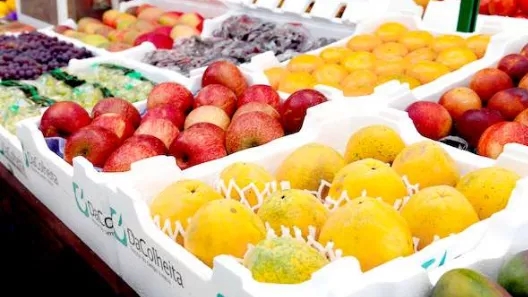 What should we pay attention to for fruit export?
